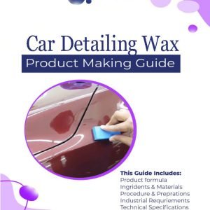 Car Detailing Polishing