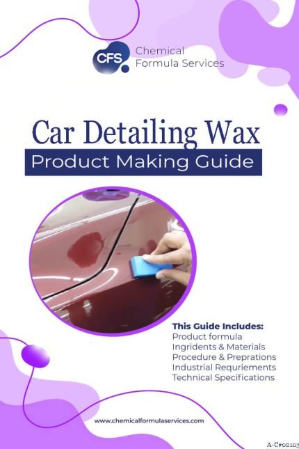 Car Detailing Polishing